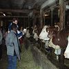 Onnion 2006 61